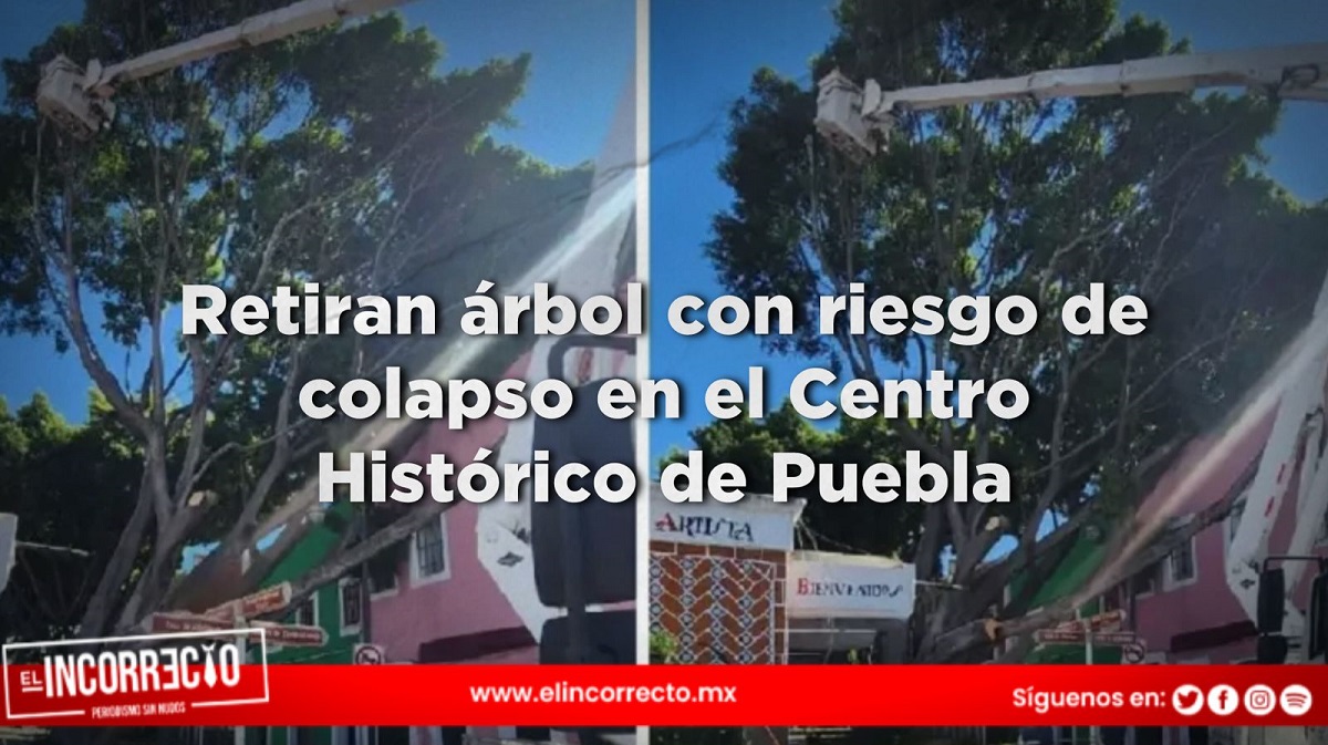 Retiran árbol con riesgo de colapso en el Centro Histórico de Puebla