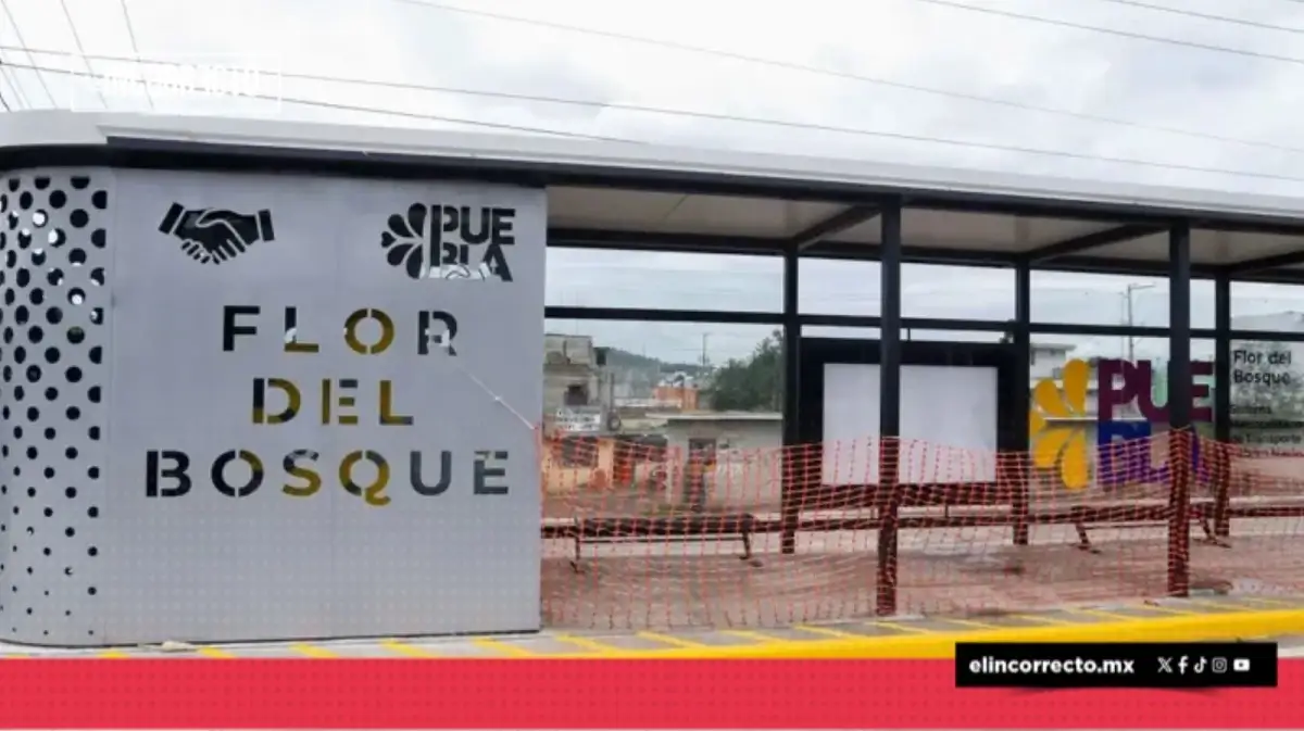 Avance del 55% en la construcción de la Línea 4 de RUTA; baños listos para noviembre