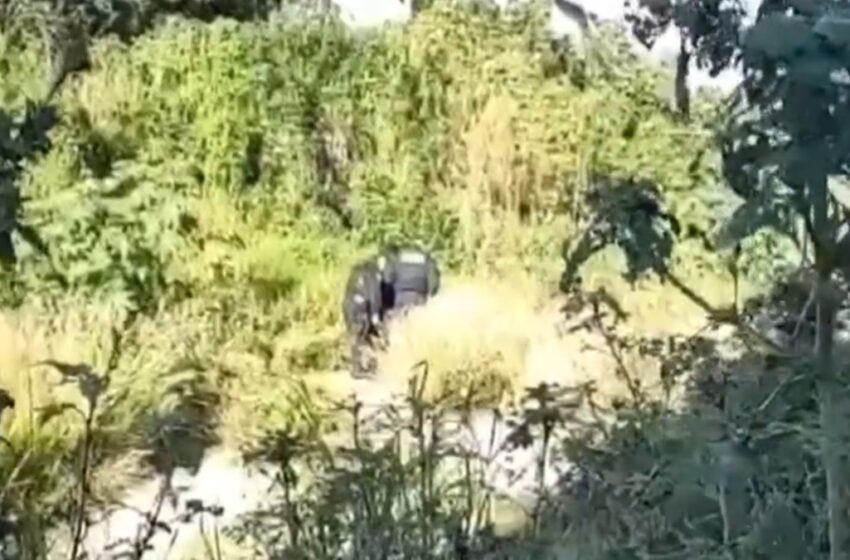  Macabro hallazgo en Cuautlancingo: Restos humanos en bolsa negra