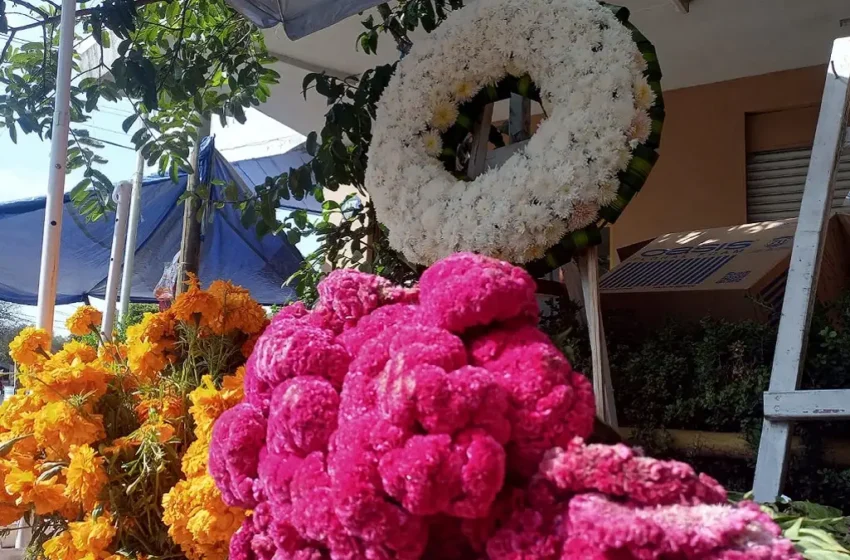  ¿Dónde encontrar el mejor precio de flores para el Día de Muertos en Puebla?