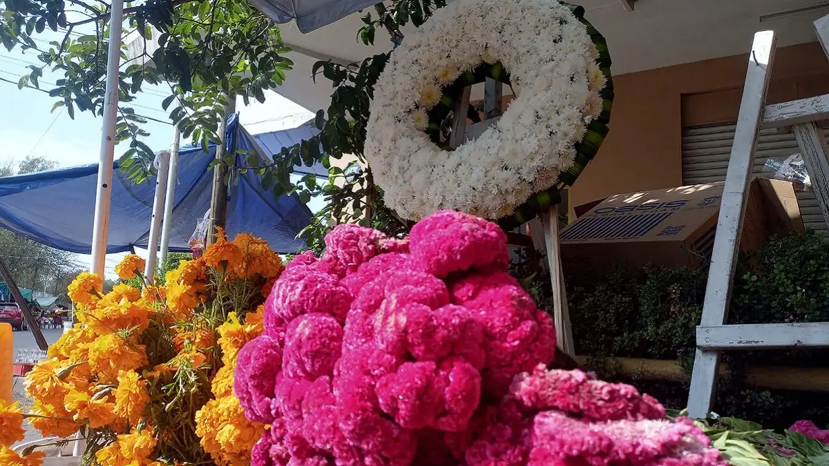 ¿Dónde encontrar el mejor precio de flores para el Día de Muertos en Puebla