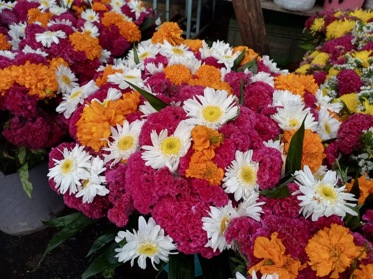 ¿Dónde encontrar el mejor precio de flores para el Día de Muertos en Puebla?