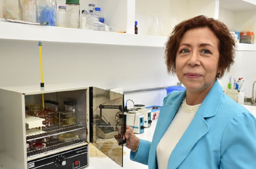 Investigan en la BUAP extractos vegetales para tratar infecciones urinarias