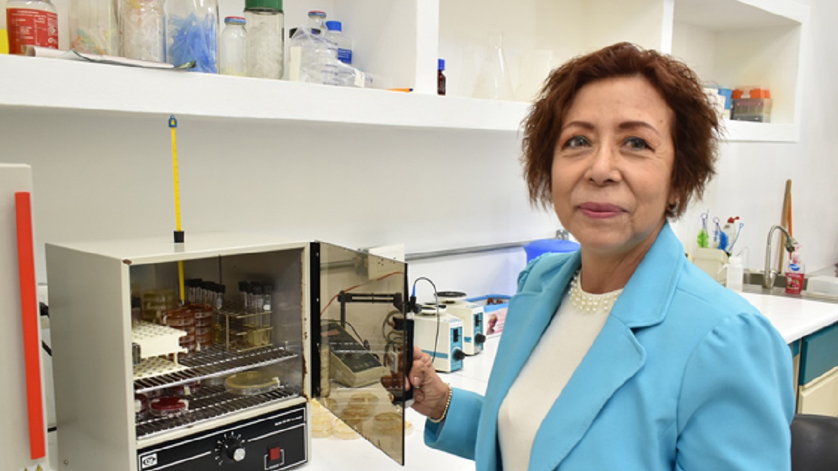 Investigan en la BUAP extractos vegetales para tratar infecciones urinarias