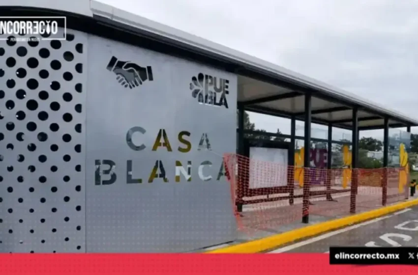  Servicio de la Línea Metropolitana de RUTA será gratuito durante periodo de prueba