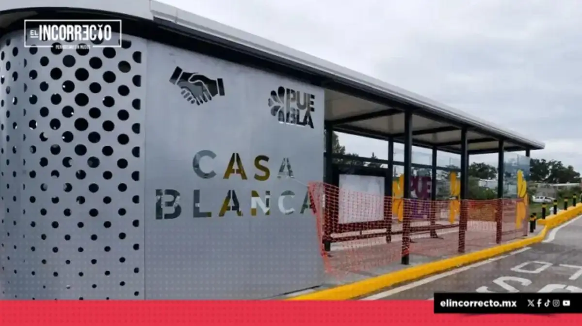 Servicio de la Línea Metropolitana de RUTA será gratuito durante periodo de prueba