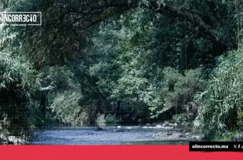  Sheinbaum revisa con Sergio Salomón y Armenta descargas al río Atoyac