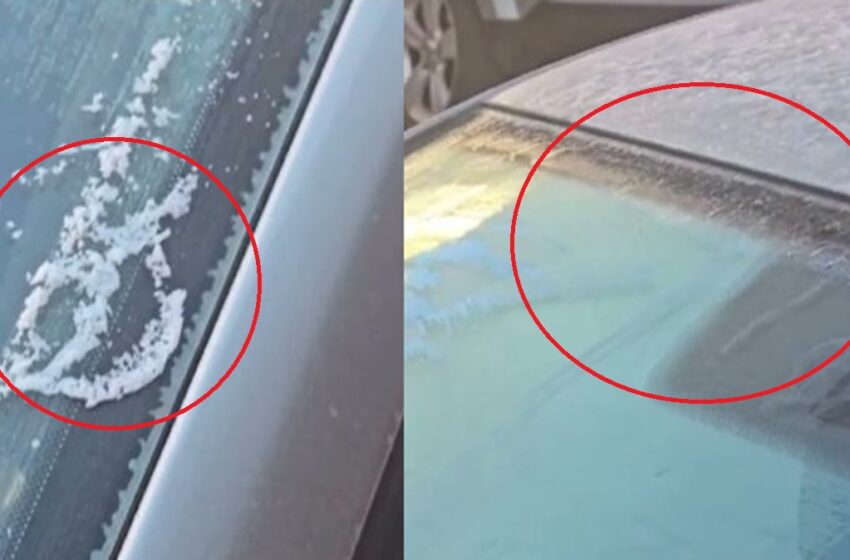  ¡Abrígate bien! Autos amanecen con escarcha en Puebla por las bajas temperaturas (VIDEO)