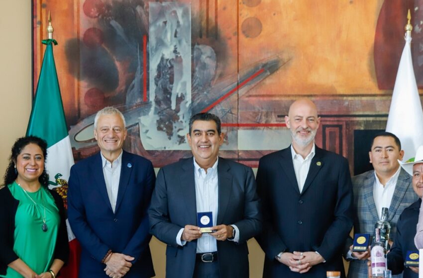  Conquistan mezcales poblanos certamen “Mexico Selection 2024”