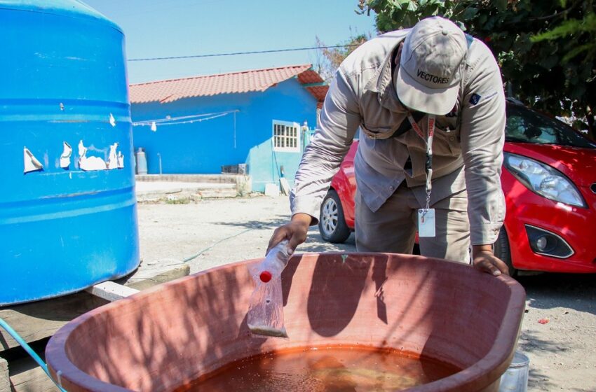  Suma Puebla 4 mil 574 casos acumulados por dengue: Salud