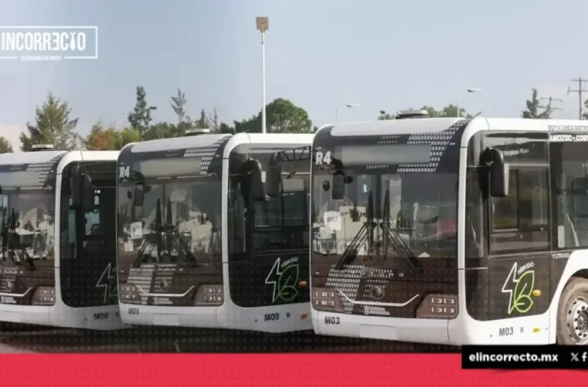  Está será la frecuencia de la línea 4 de RUTA
