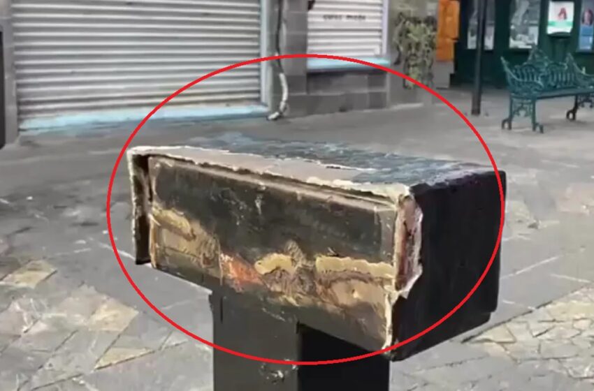  Misterio en el Centro Histórico: Desaparecen nuevamente las «Alas que Abrazan»