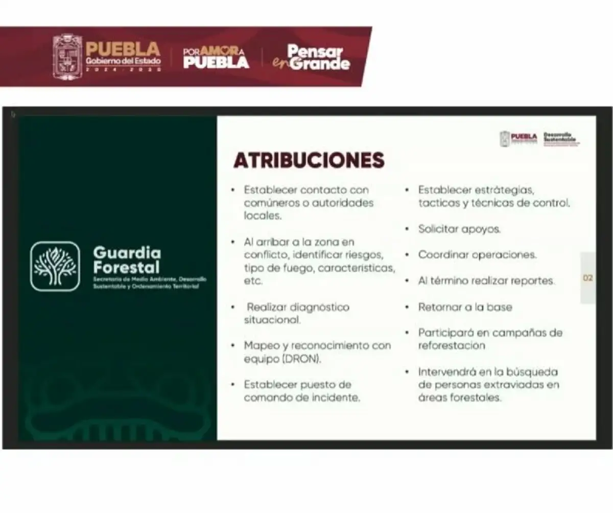 Gobierno de Armenta anuncia la Guardia Forestal de Puebla: Estas serán sus atribuciones 