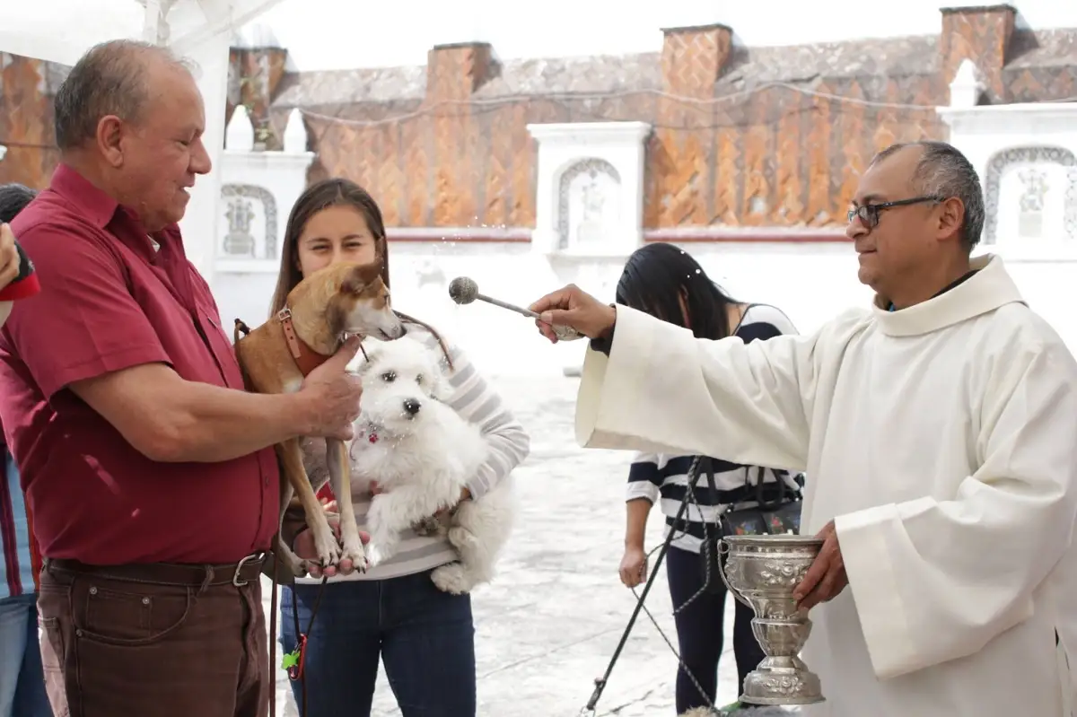 En estas iglesias de Puebla podrás bendecir a tu mascota