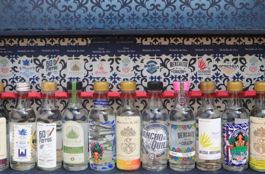  Productores de mezcal poblano participarán en Wine Paris 2025