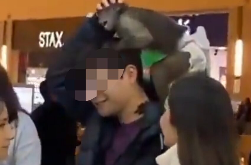  VIDEO Captan a joven paseando con un mono en Angelópolis