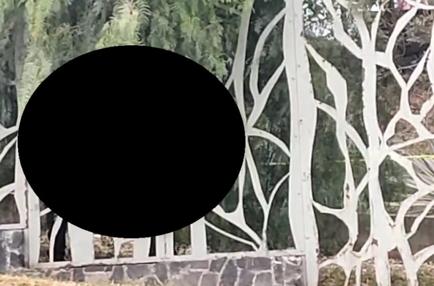  FUERTE FOTO Hallazgo Macabro en Los Fuertes de Loreto: Encuentran Cadáver Colgado de un Árbol