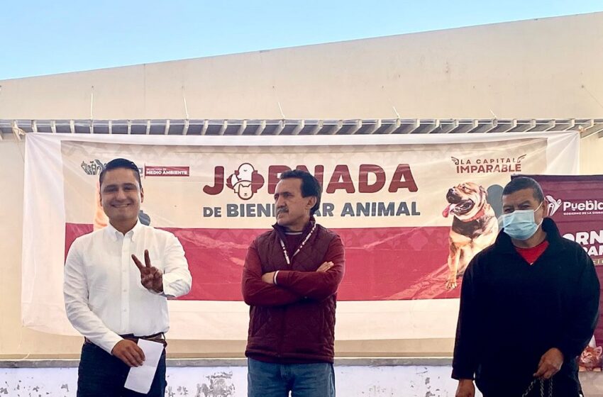  Gobierno de la Ciudad llevó con éxito Jornada de Protección Animal a La Guadalupana