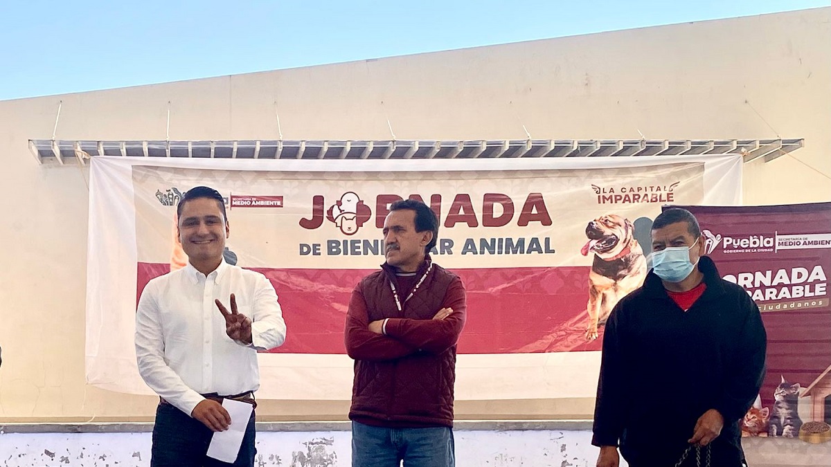 Gobierno de la Ciudad llevó con éxito Jornada de Protección Animal a La Guadalupana