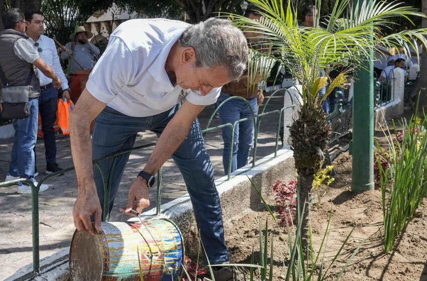  Impulsa Pepe Chedraui faena de conservación en el parque principal de San Jerónimo Caleras