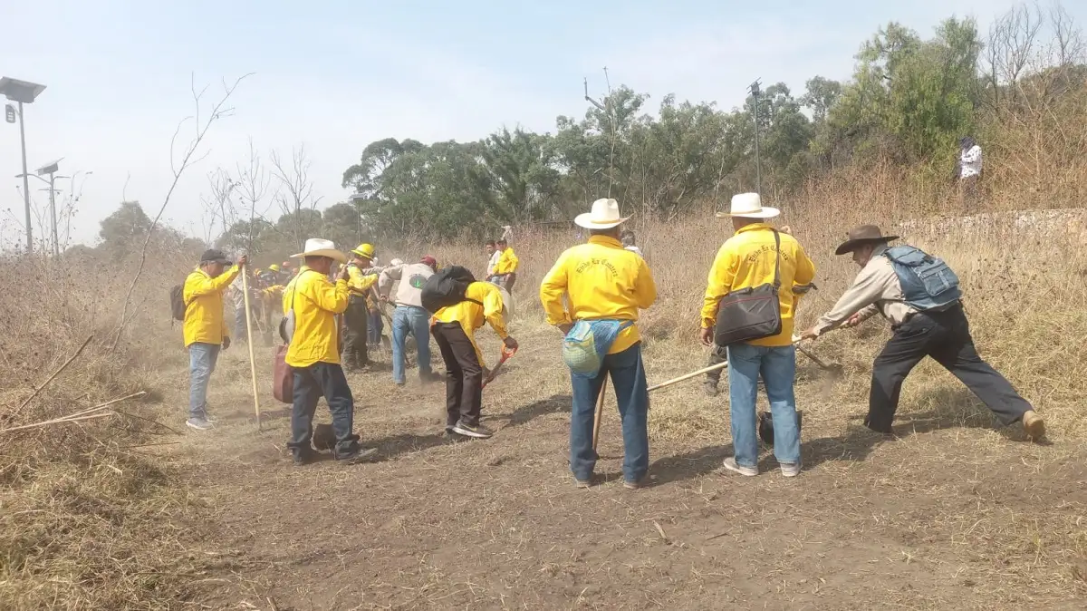 Previenen incendios con acción de brecha cortafuego en Puebla