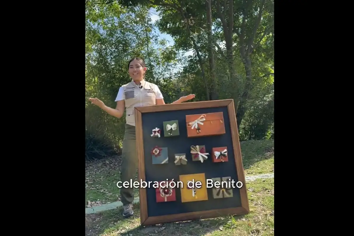 ¿Te llamas Benito? Checa esta promoción que Africam Safari tiene para ti