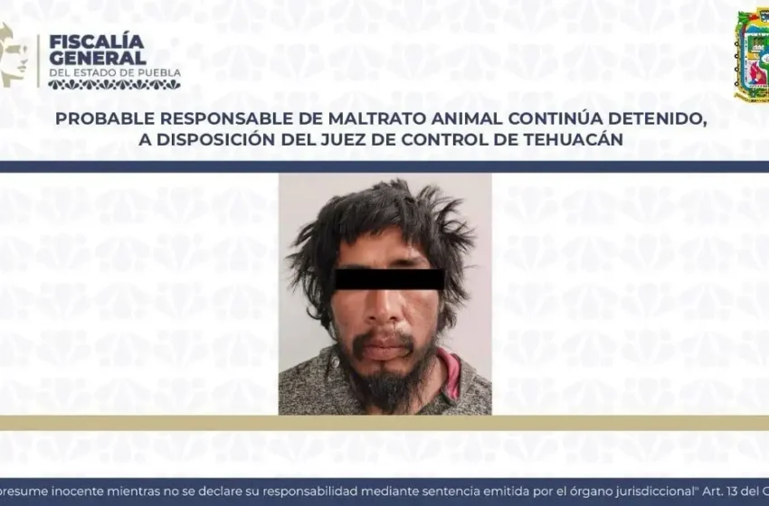  Vinculan por maltrato animal a Luis N., sujeto que aventó una piedra a “huesitos”
