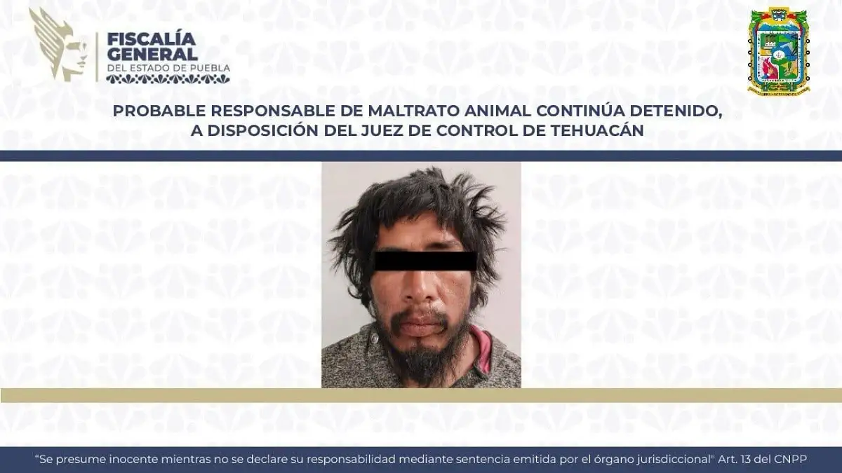 Vinculan por maltrato animal a Luis N., sujeto que aventó una piedra a “huesitos”