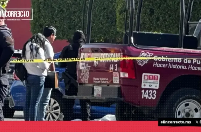  Cuerpos desmembrados en Amozoc y Cuautlancingo por conflicto entre La Barredora y grupos antagónicos 