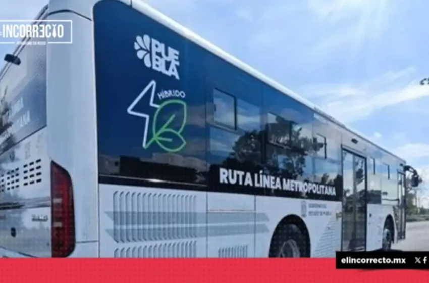  Multan con 22 mdp a empresa que construyeron distribuidores y línea 4 de RUTA