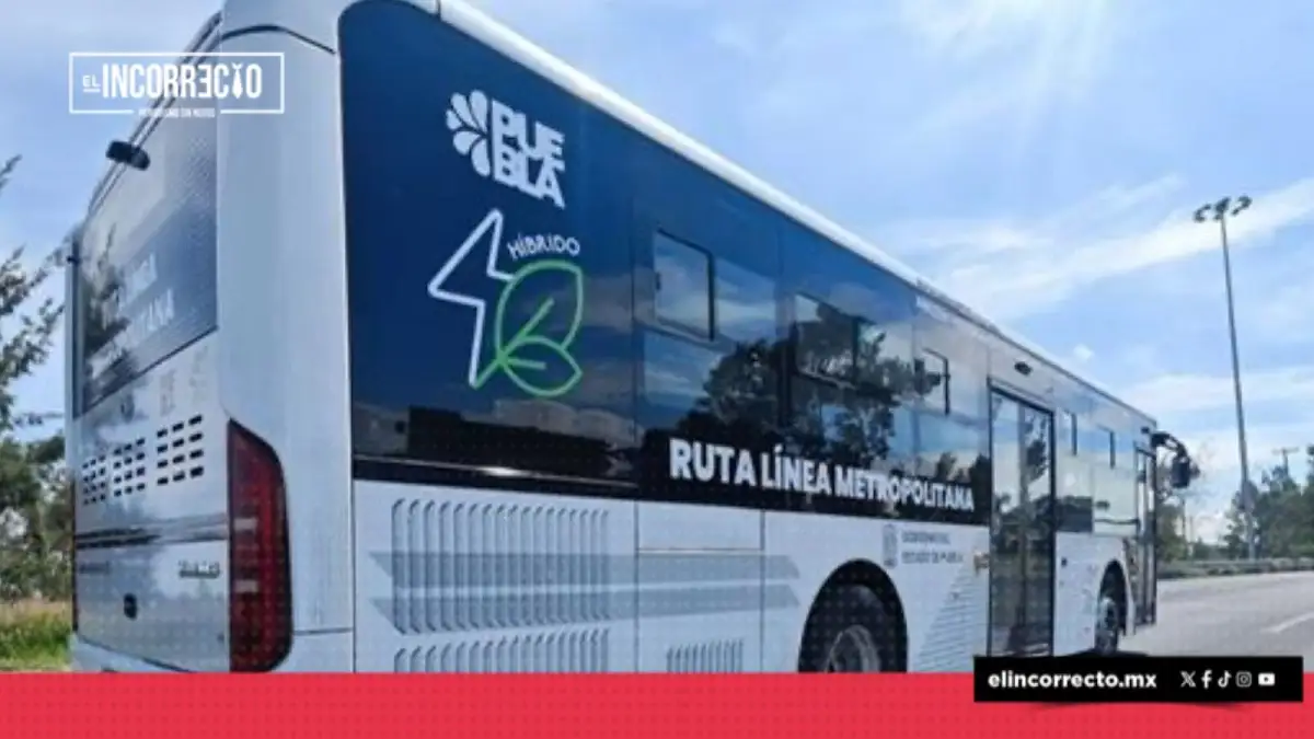 Multan con 22 mdp a empresa que construyeron distribuidores y línea 4 de RUTA