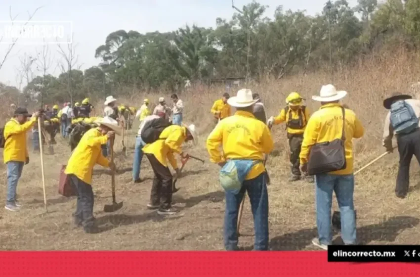  Previenen incendios con acción de brecha «cortafuego» en Puebla