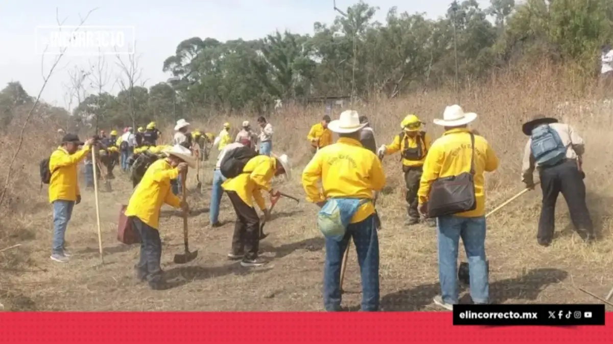 Previenen incendios con acción de brecha «cortafuego» en Puebla