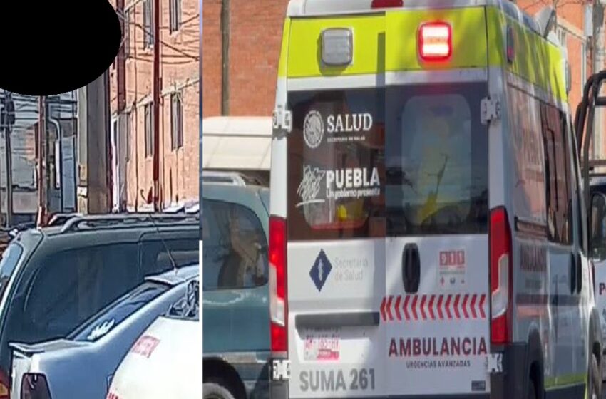  Fuerte FOTO: ¡Pánico en La Margarita! Trabajador de Totalplay se electrocuta y queda colgado de cables