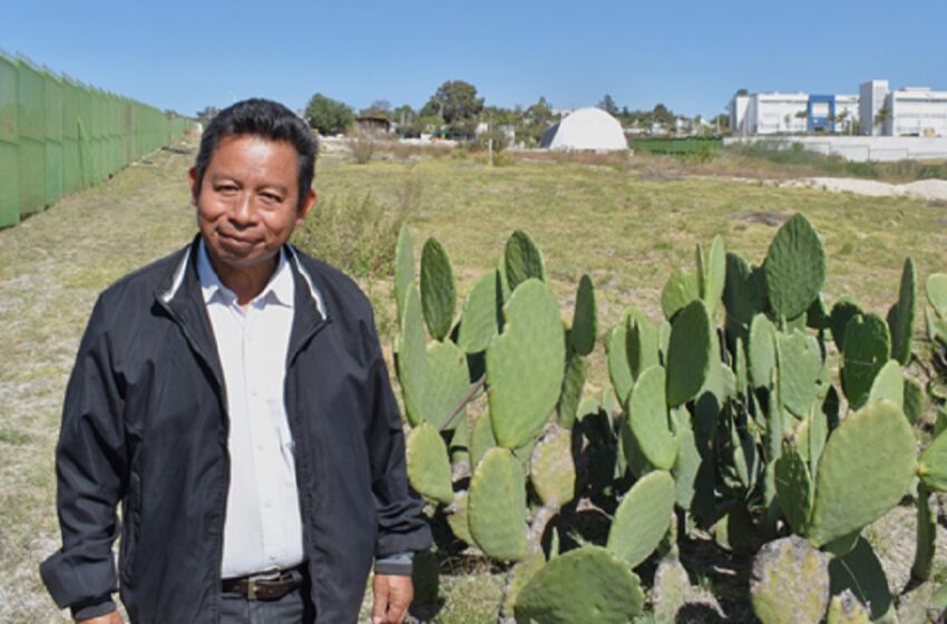  Académico del ICUAP investiga organismos del suelo que favorecen su fertilidad y conservación