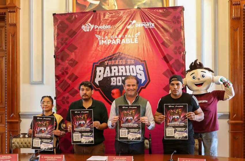  El IMDP anuncia el Torneo de Barrios de Box 2025