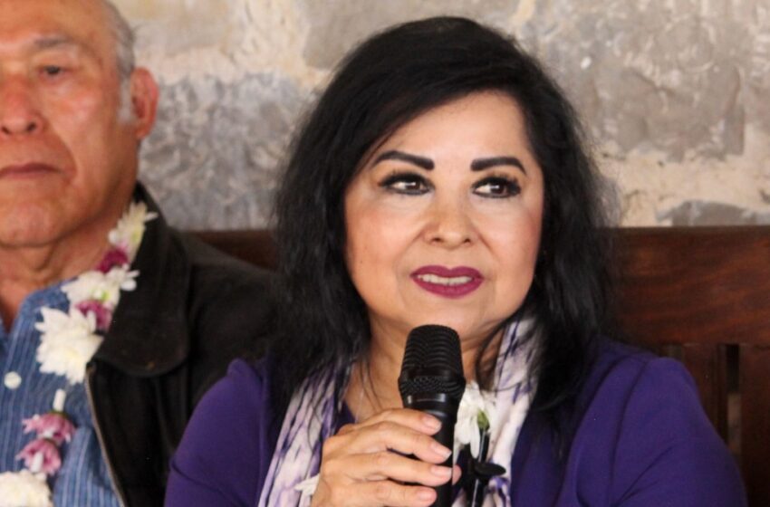  Igualdad, justicia social e interés nacional: ejes de Arely Reyes para la Suprema Corte