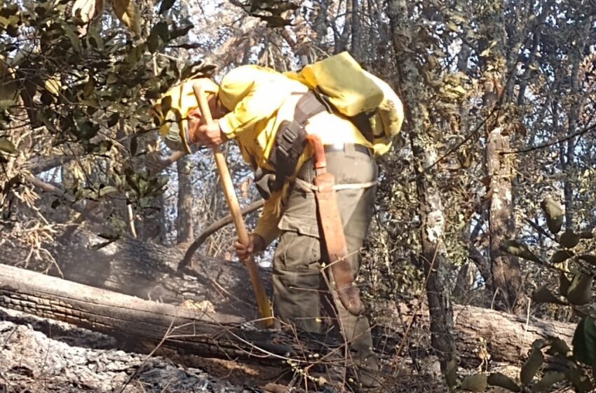  Puebla refuerza combate a incendios tras más de 200 siniestros urbanos y forestales en 2025