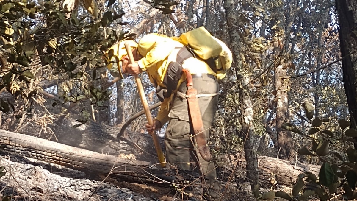 Puebla refuerza combate a incendios tras más de 200 siniestros urbanos y forestales en 2025