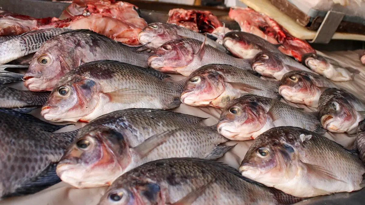 Inicia la Cuaresma estos son los precios de los pecados y mariscos en la capital