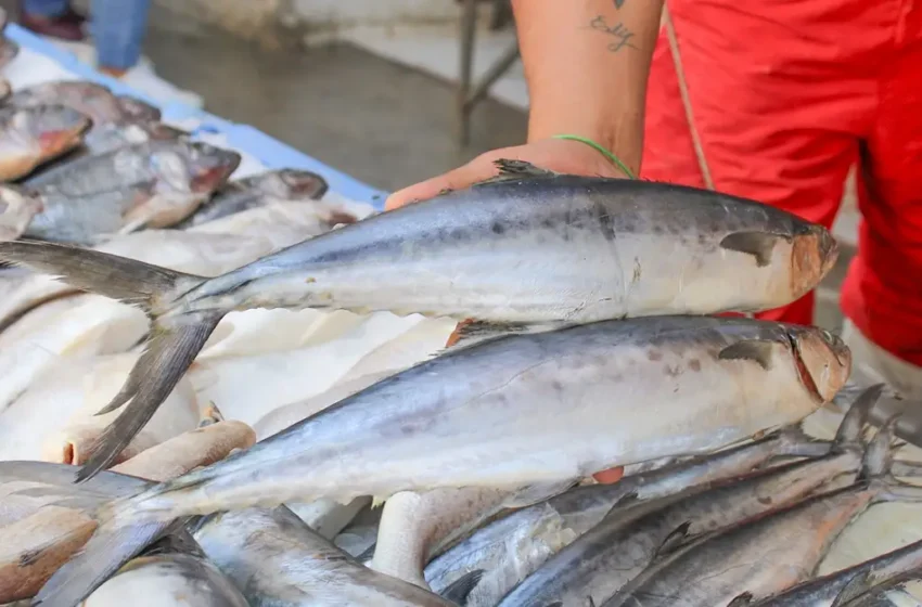  Inicia la Cuaresma: estos son los precios de los pecados y mariscos en Puebla