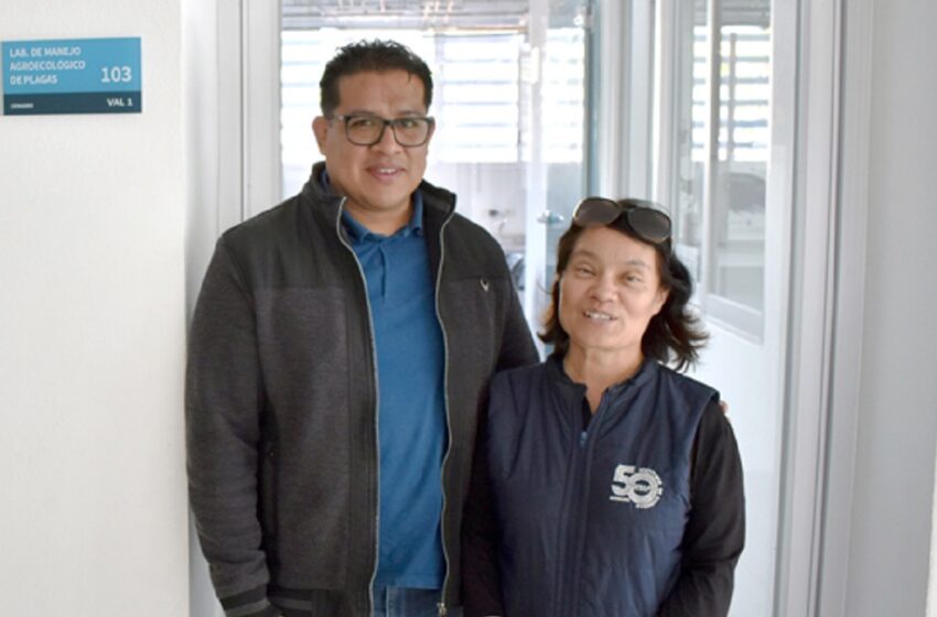  Investigadora del ICUAP estudia el comportamiento biológico de la plaga conocida como “gallina ciega” para su control