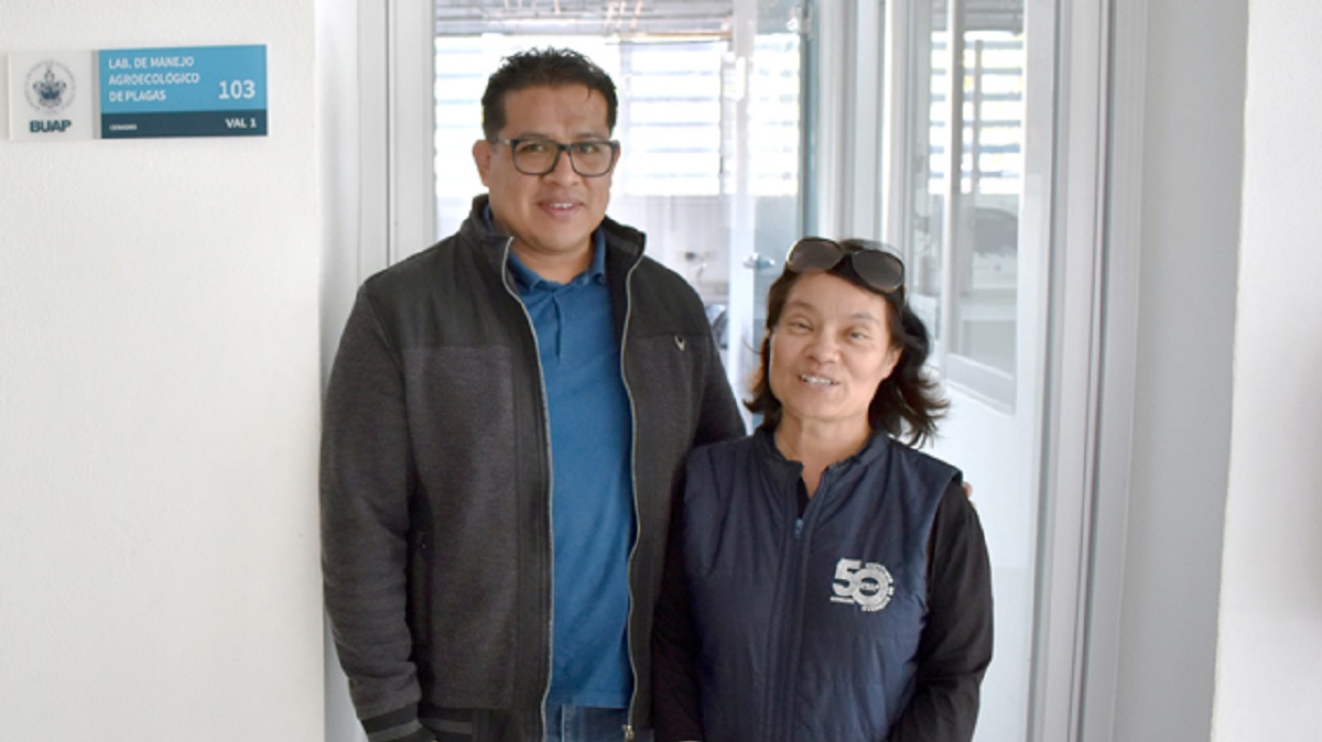 Investigadora del ICUAP estudia el comportamiento biológico de la plaga conocida como “gallina ciega” para su control