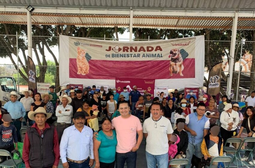  Jornada de Bienestar Animal beneficia a équidos de trabajo, perros y gatos en San Andrés Azumiatla