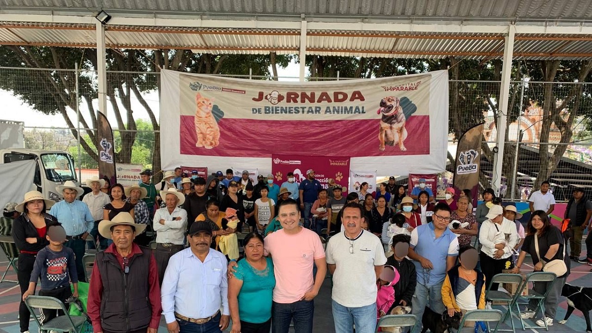 Jornada de Bienestar Animal beneficia a équidos de trabajo, perros y gatos en San Andrés Azumiatla