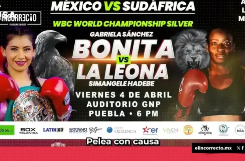  Armenta invita a pelea de La Bonita Sánchez; ganancias serán para Casa de Maternidad 