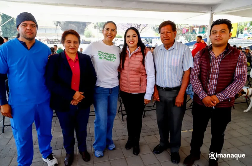  200 mascotas beneficiadas en exitosa Mega Jornada de Esterilización en San Pedro Cholula
