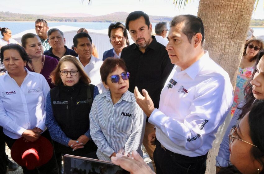  Fertipue: proyecto innovador que transformará el lirio del Lago de Valsequillo