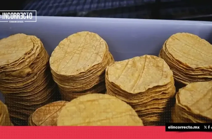  Puebla y Tlaxcala reportan los precios más bajos en el kilo de tortilla en todo el país