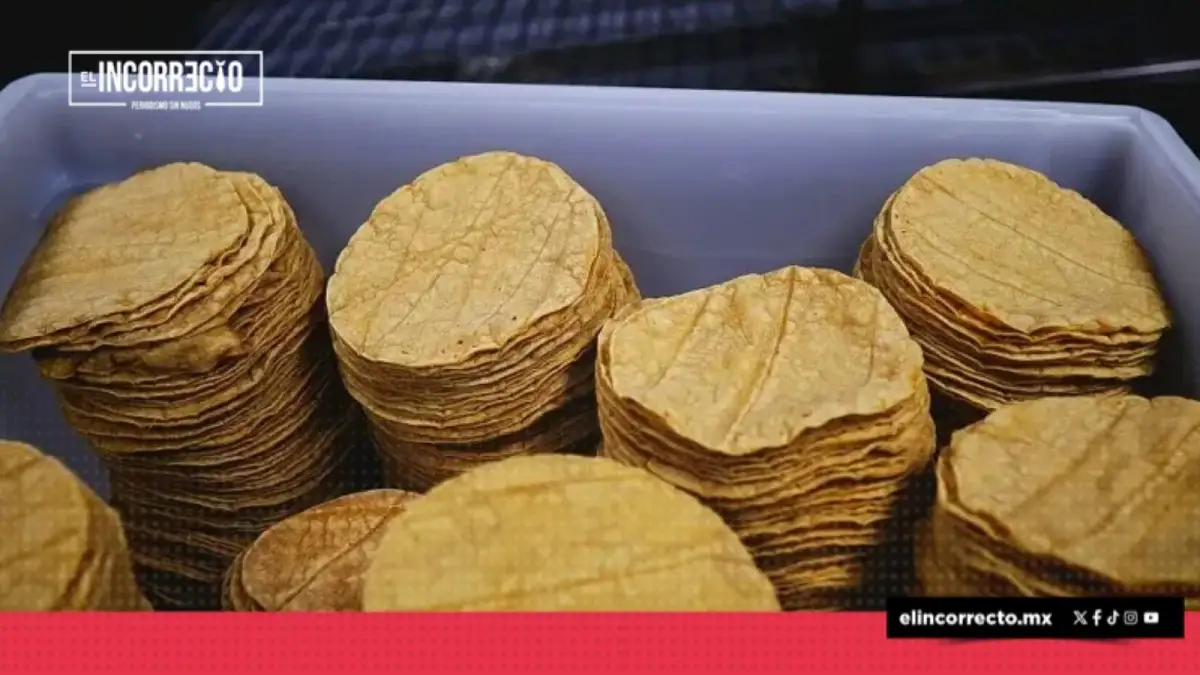 Puebla y Tlaxcala reportan los precios más bajos en el kilo de tortilla en todo el país